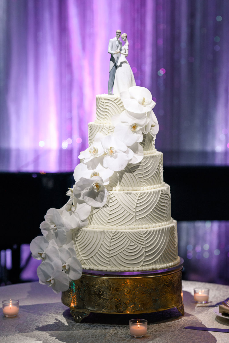 discovery-world-pilot-house-wedding-the-paper-elephant-0084