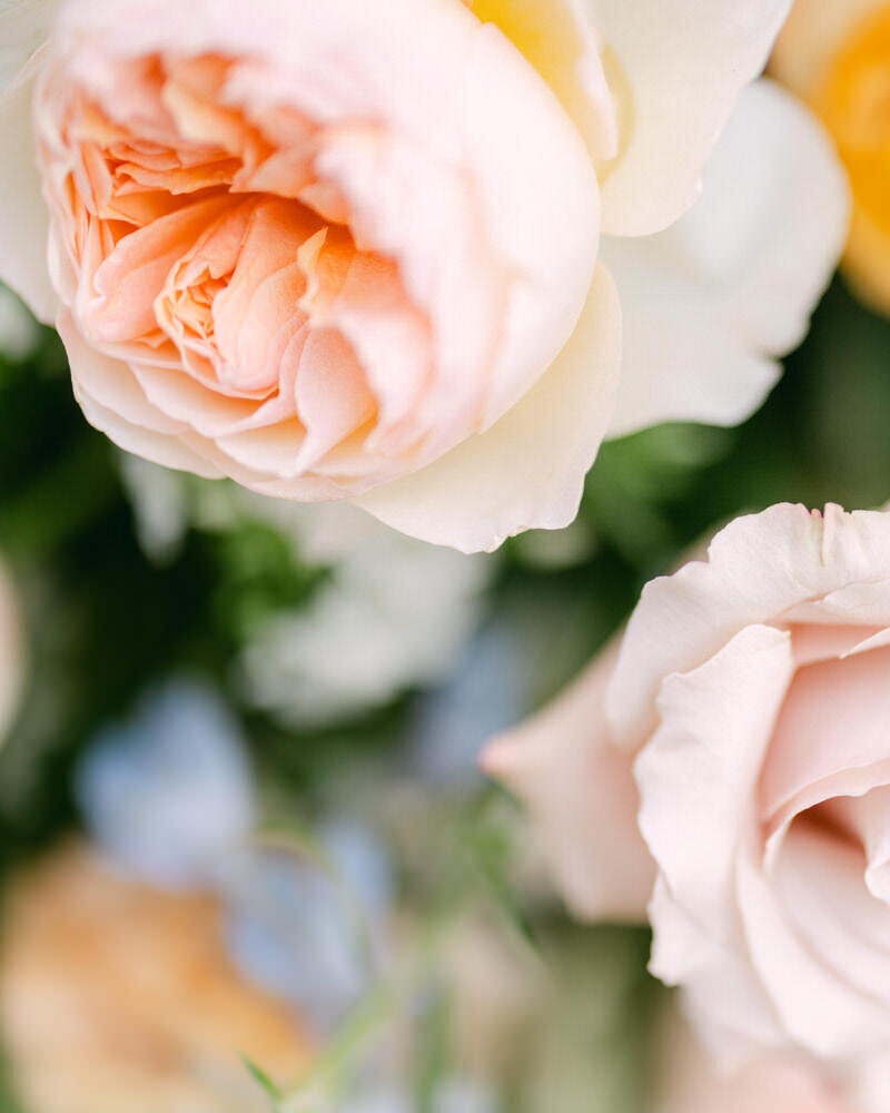 This stunning close-up photograph captures the bride's bouquet, showcasing a beautiful array of vibrant colors. The intricate details and rich hues of the flowers add elegance and a touch of natural beauty to the wedding day.