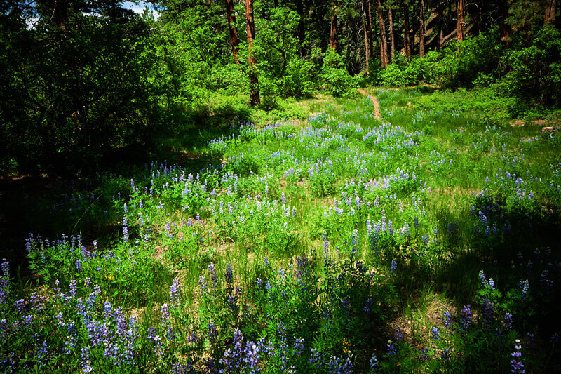 Near Durango, CO.  Best for late spring events.