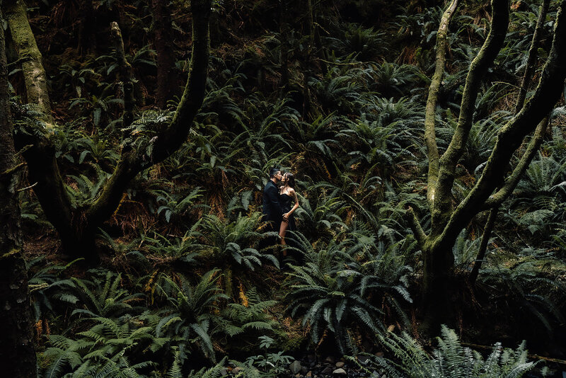 during their moody elopement package, a couple in their all black wedding attire kiss as they embrace in a sea of ferns and moss