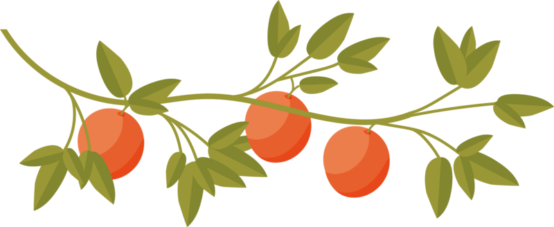Storied Travel and Adventures Orange Leaves