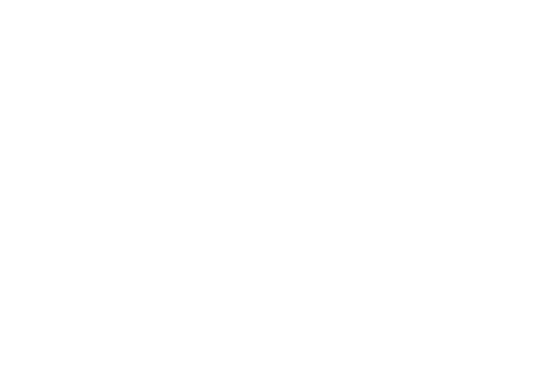moth2-08