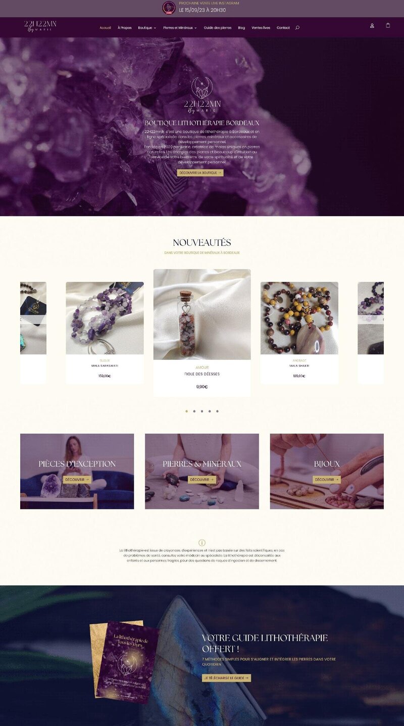 Template showit pour entrepreneur