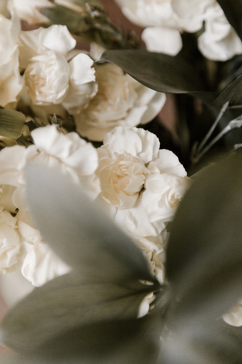 MoyoFreePhoto16