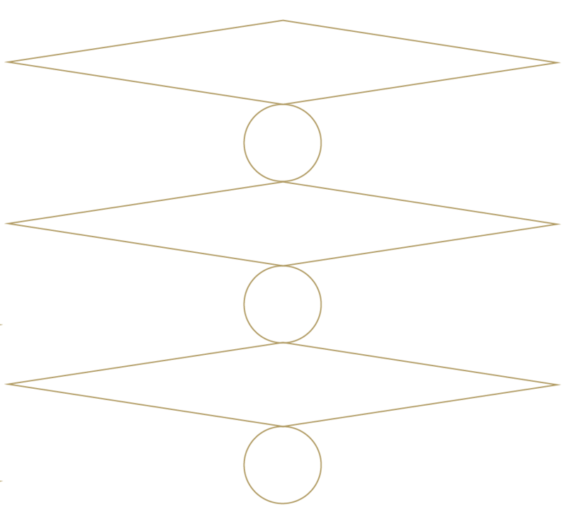 VyTA Romb and Circles Geometrical Pattern