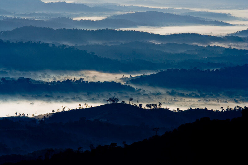 Brazil—Serra Bonita mountain range-Atlantic Forest © Robin Moore