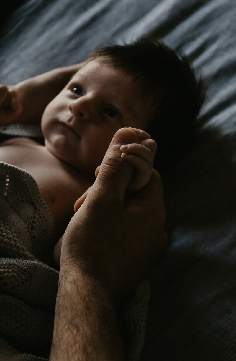 rex newborn47