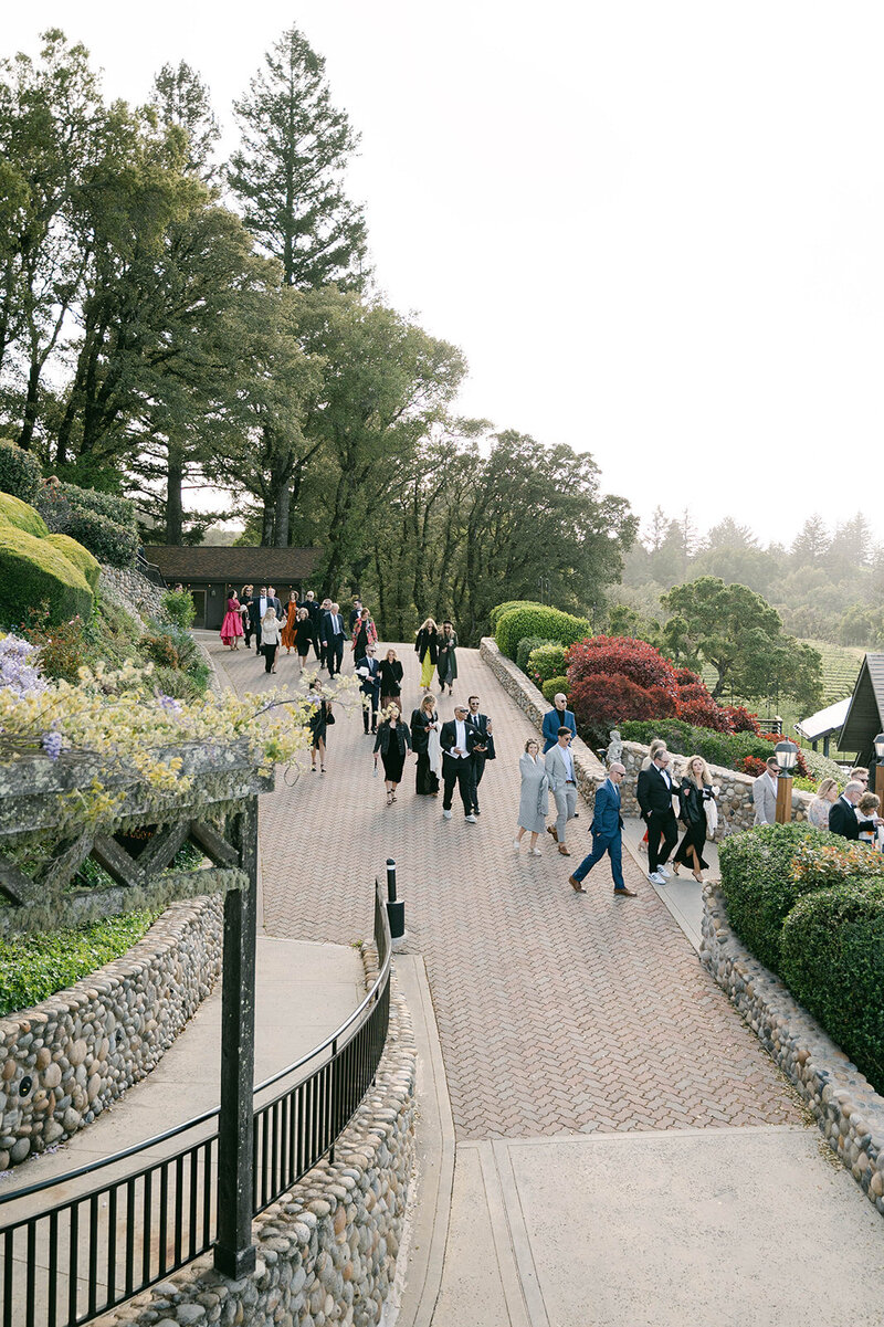 DSC_0834_websize
