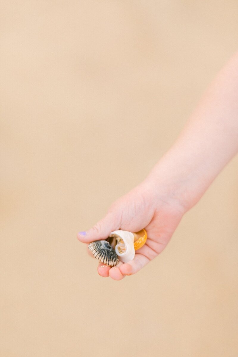 Collecting shells on Maui