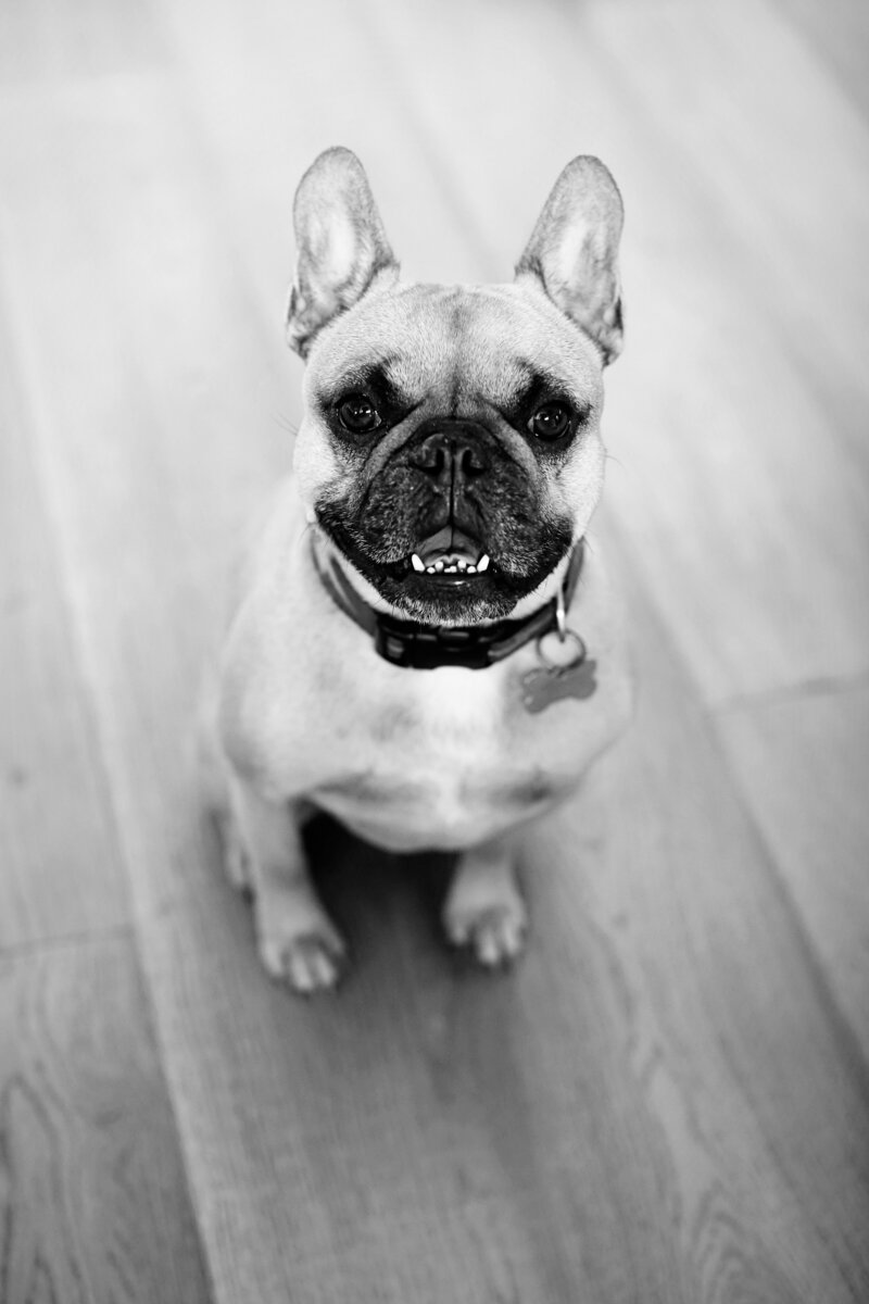 11-corporate-photography-orange-county-lauren-ford-photography.