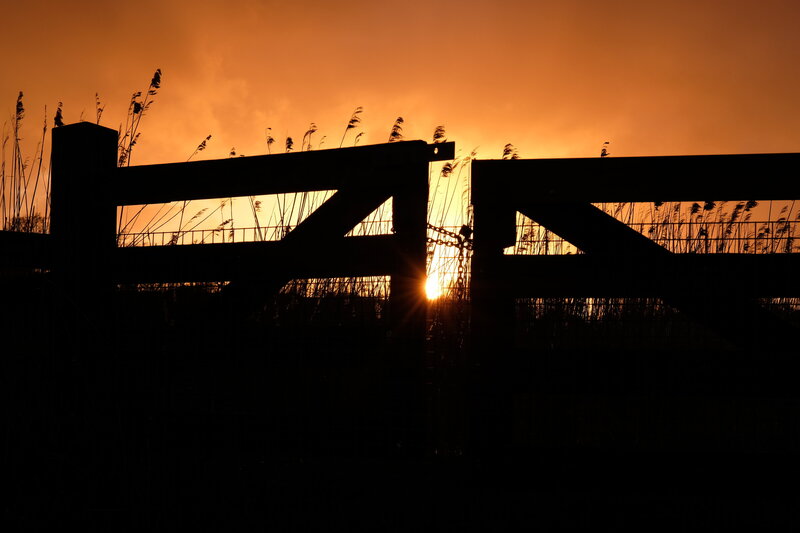 fotocursus alkmaar haarlem heerhugowaard 2