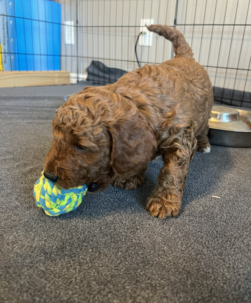 Screenshot 2024-09-13 at 7.13.14 AM