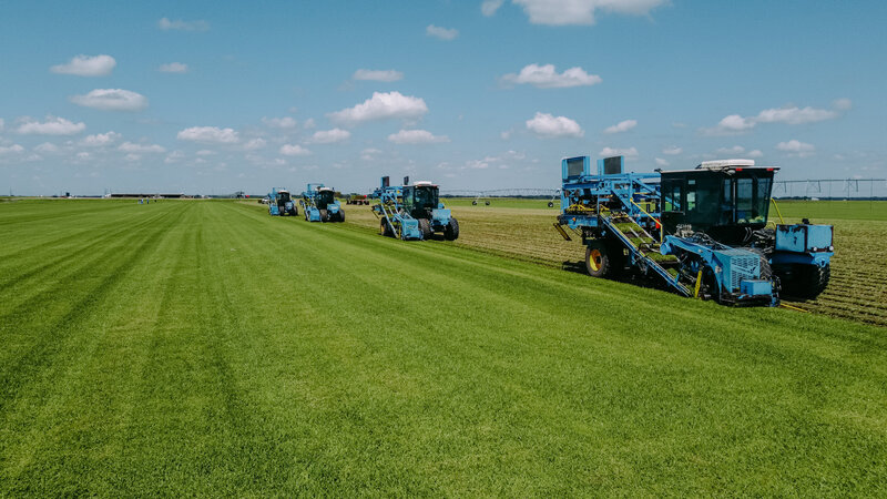 Bermuda, St. Augustine & Zoysia Grass | Horizon Grass Farms