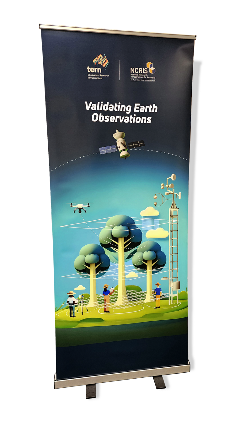 Pull-Up-Banner-AEO