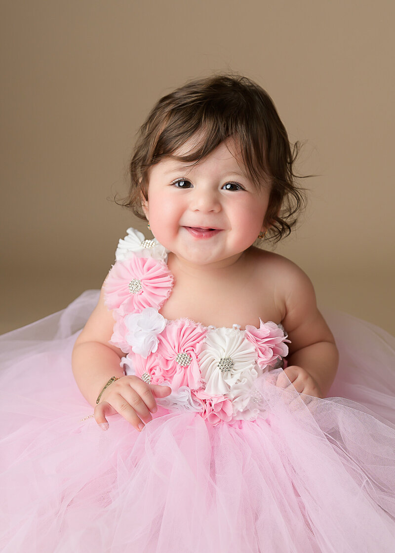 Baby Girl 6 Month Milestones Custom Pink and White  Tulle Dress with Flower Embelishments
