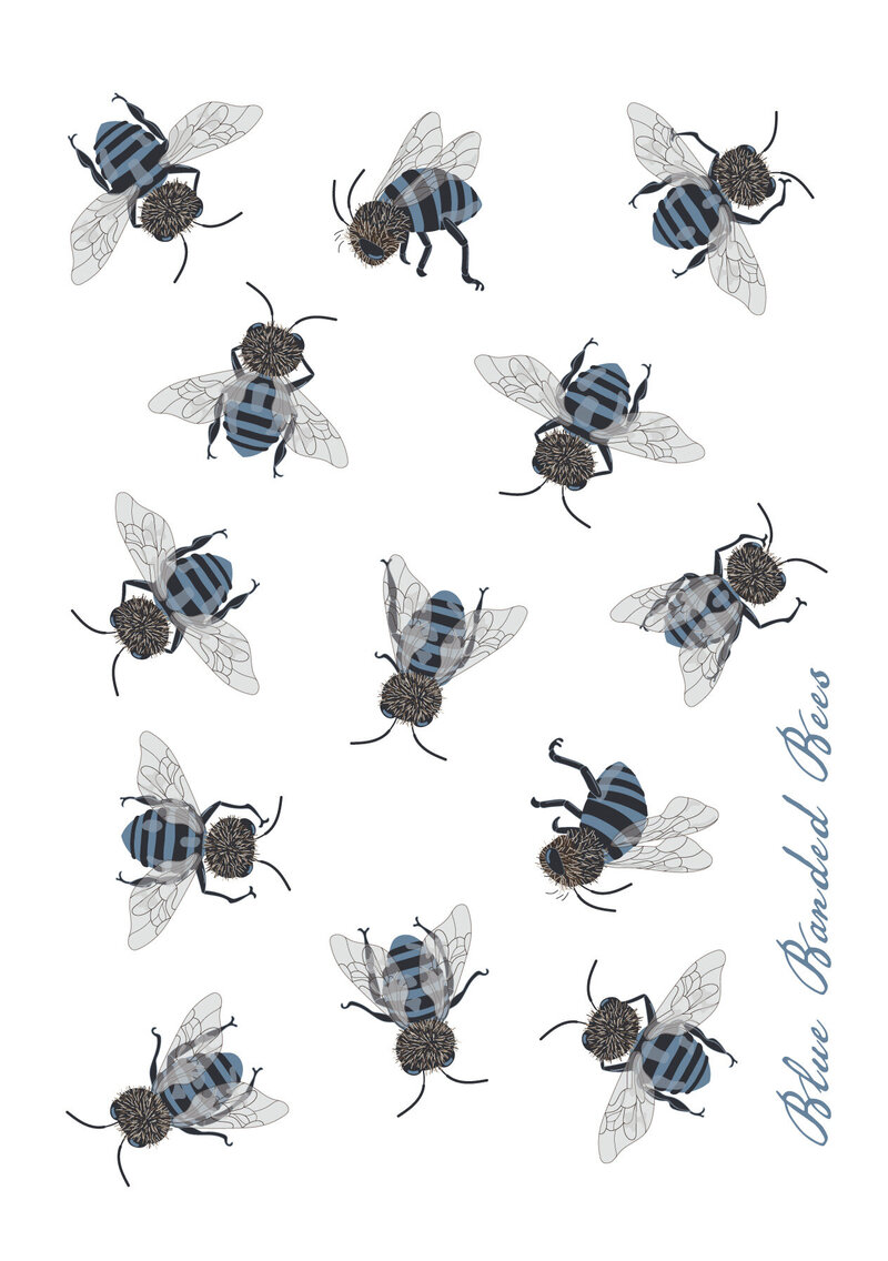 Discover a charming collection of A6 blank greeting cards, each featuring original artwork inspired by florals, bees, bicycles, birds, Art Deco motifs, and the timeless elegance of the Arts and Crafts movement. Printed on quality card stock and paired with a crisp white envelope, each card is packaged in a resealable cellophane sleeve for protection. Perfect for any occasion, these cards are a beautiful way to share a heartfelt message or keep on hand for thoughtful moments.