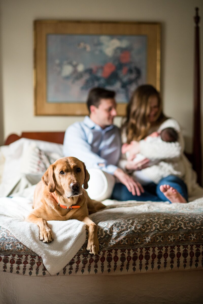 Newborn-Photo-Family-Dog-Roanoke-min