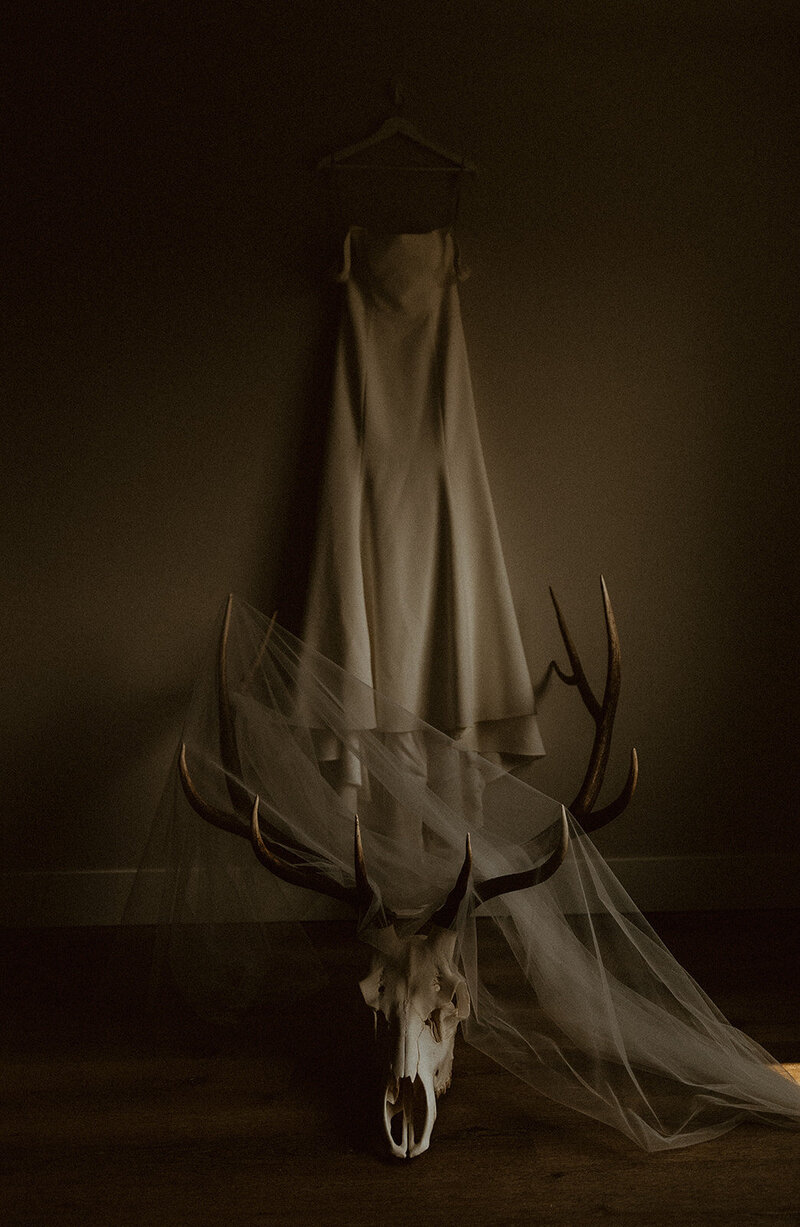 wedding dress and veil with large deer skull in Bozeman Montana 