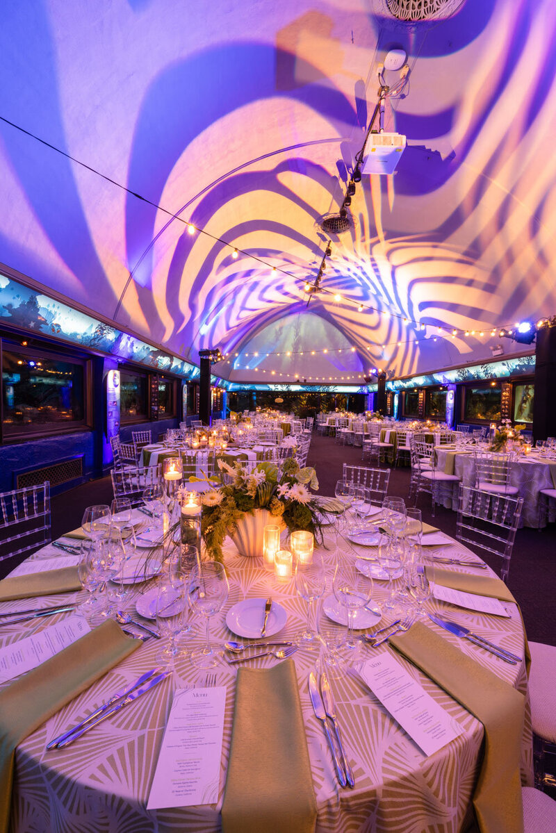 A large room with tables and chairs
