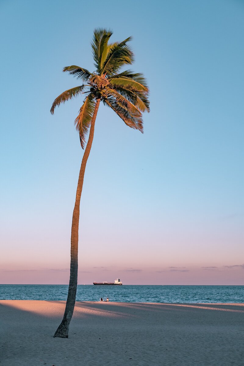 tyler-lastovich-ZyfOq52b0cs-unsplash