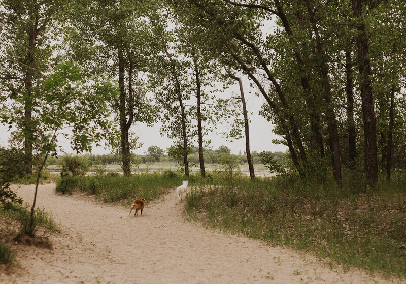 Saskatoon_Beach_EngagementSession_KaylaCassidyPhotography-5