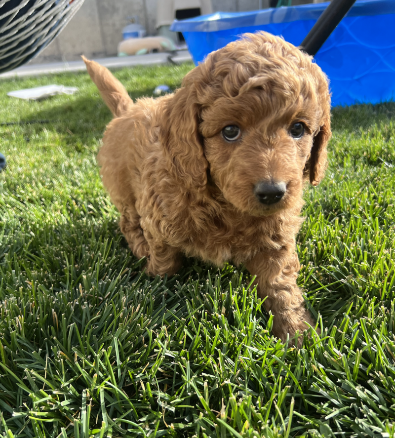 Screenshot 2024-09-24 at 6.30.32 AM