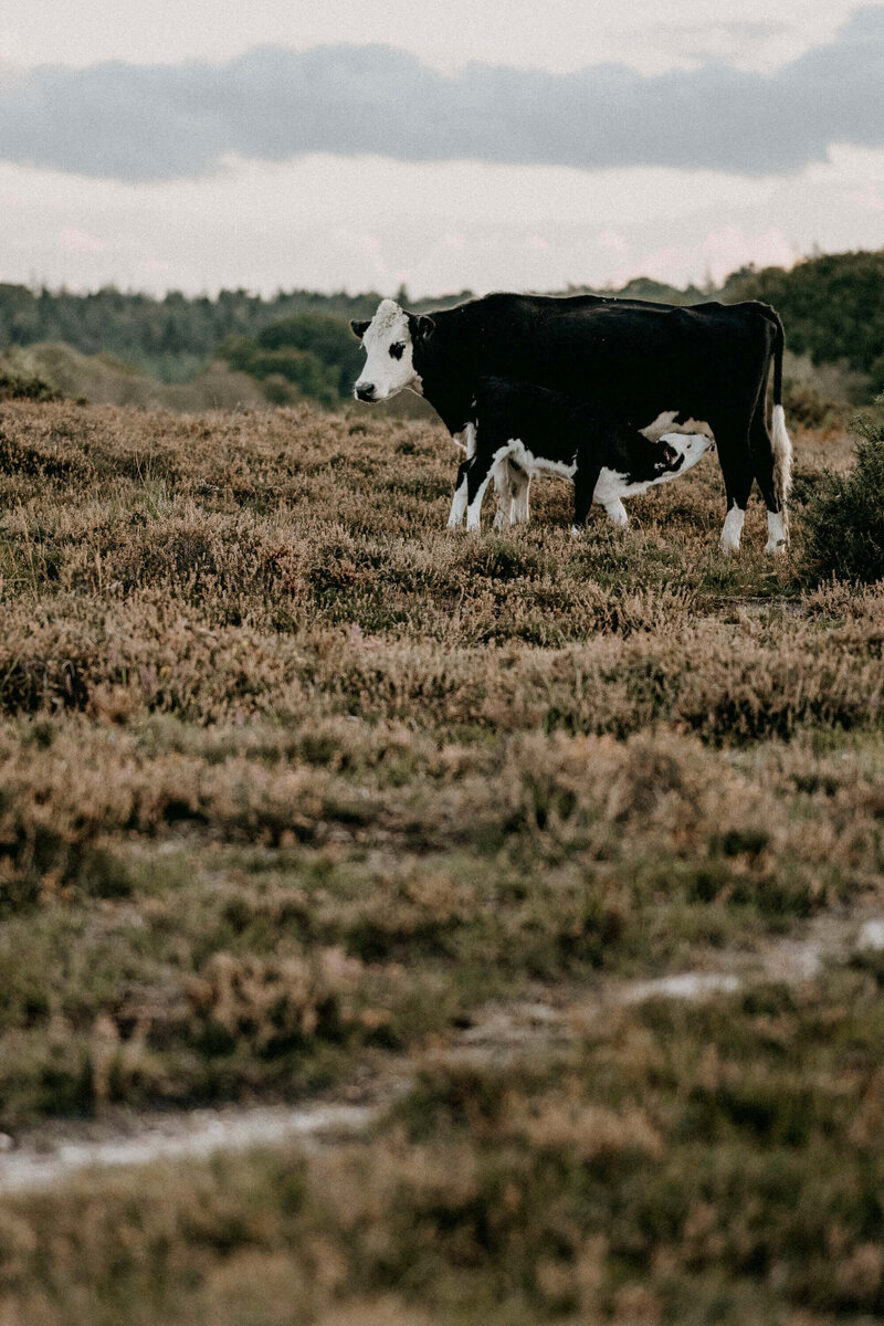 woman wearing a white dress standing in a field with her eyes closed