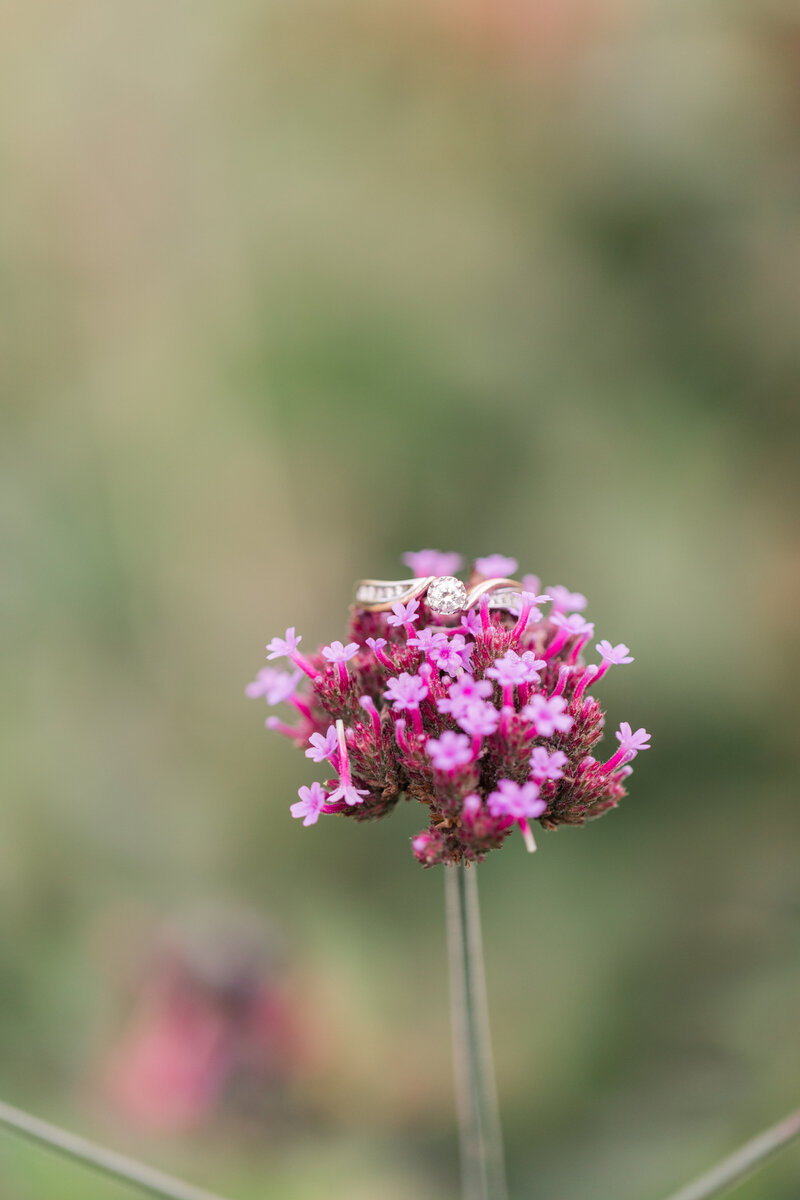 Jennifer B Photography-Ithaca-NY-Engagement Session-Davey and Katie-2020-0260