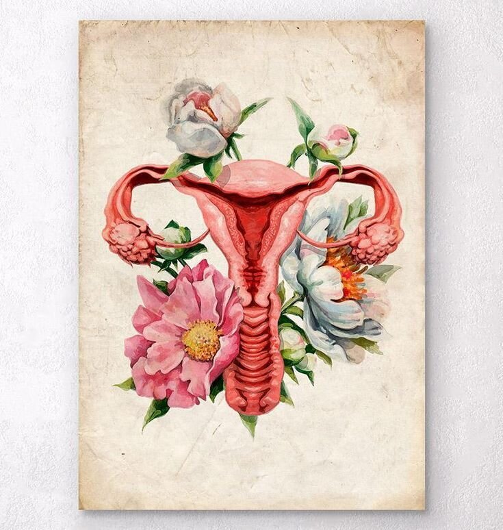 womb wellness and holistic health broken arrow oklahoma