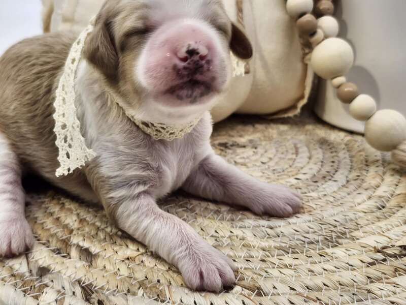 7a72edd0-f7e2-473e-a864-21f1b166a9fa