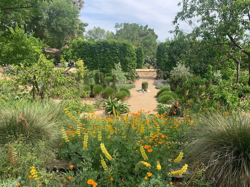 Yolo Garden16