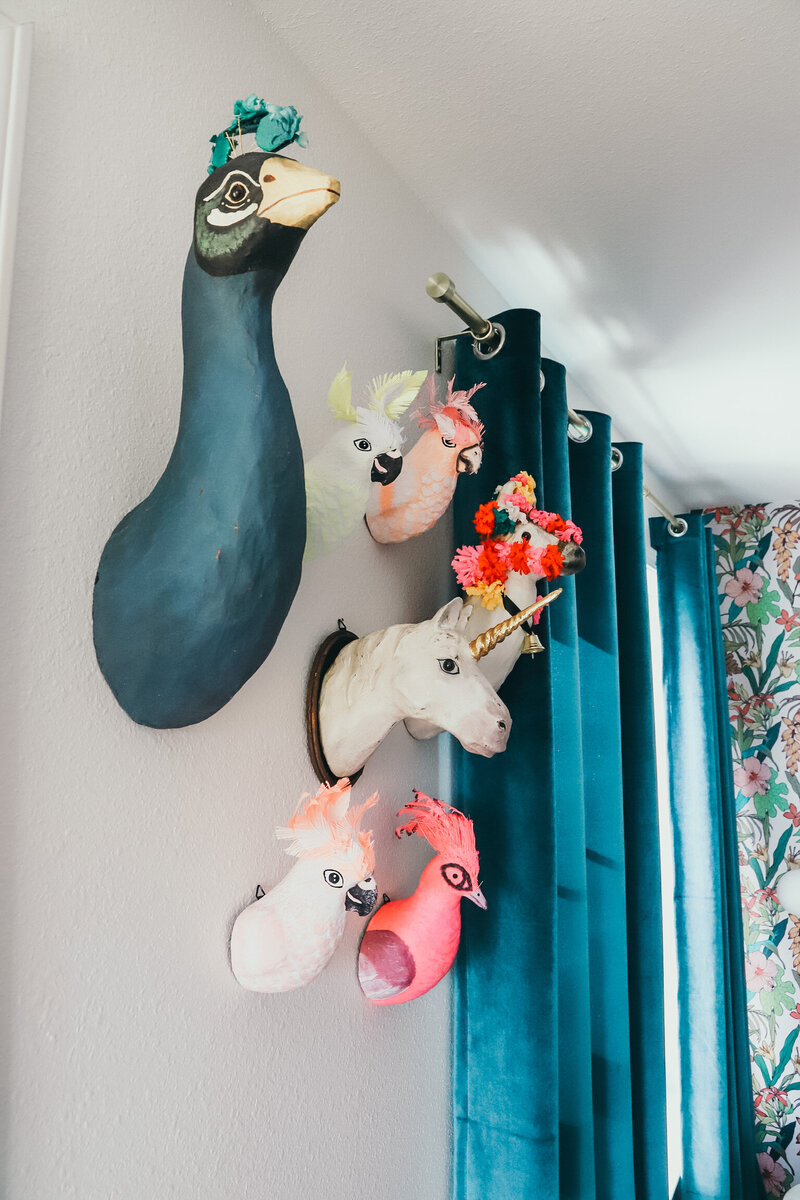 vintage taxidermies on a wall with blue curtains