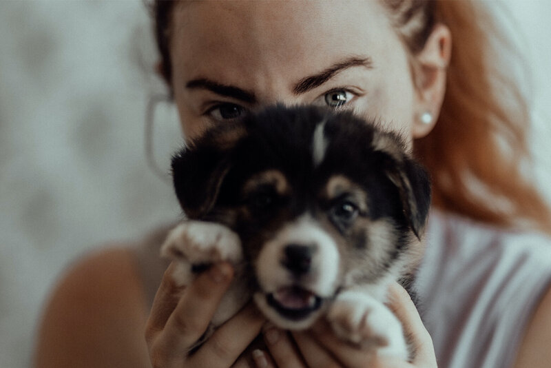 the-lifestyle-phodographer-perth-family-pet-photographer-litter00019