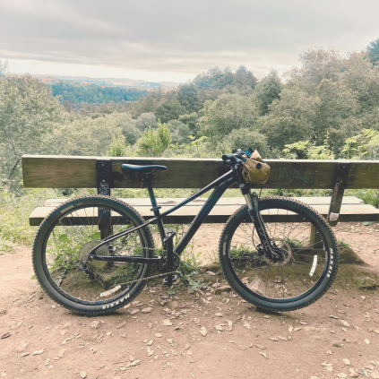 A dark purple mountain bike leans up against the back of a bench on a dirt trail. In the background are green trees and bushes. In the distance there are rolling hills.