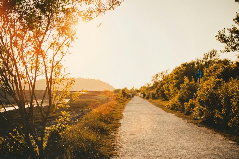Dirt path along a lake at sunset