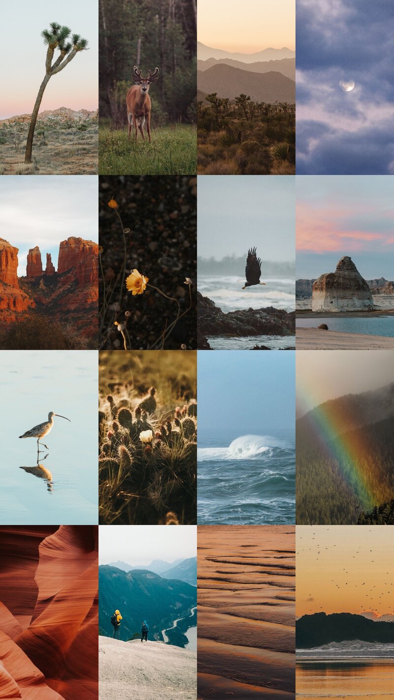 nature photography