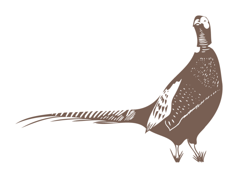 Graphic of a pheasant
