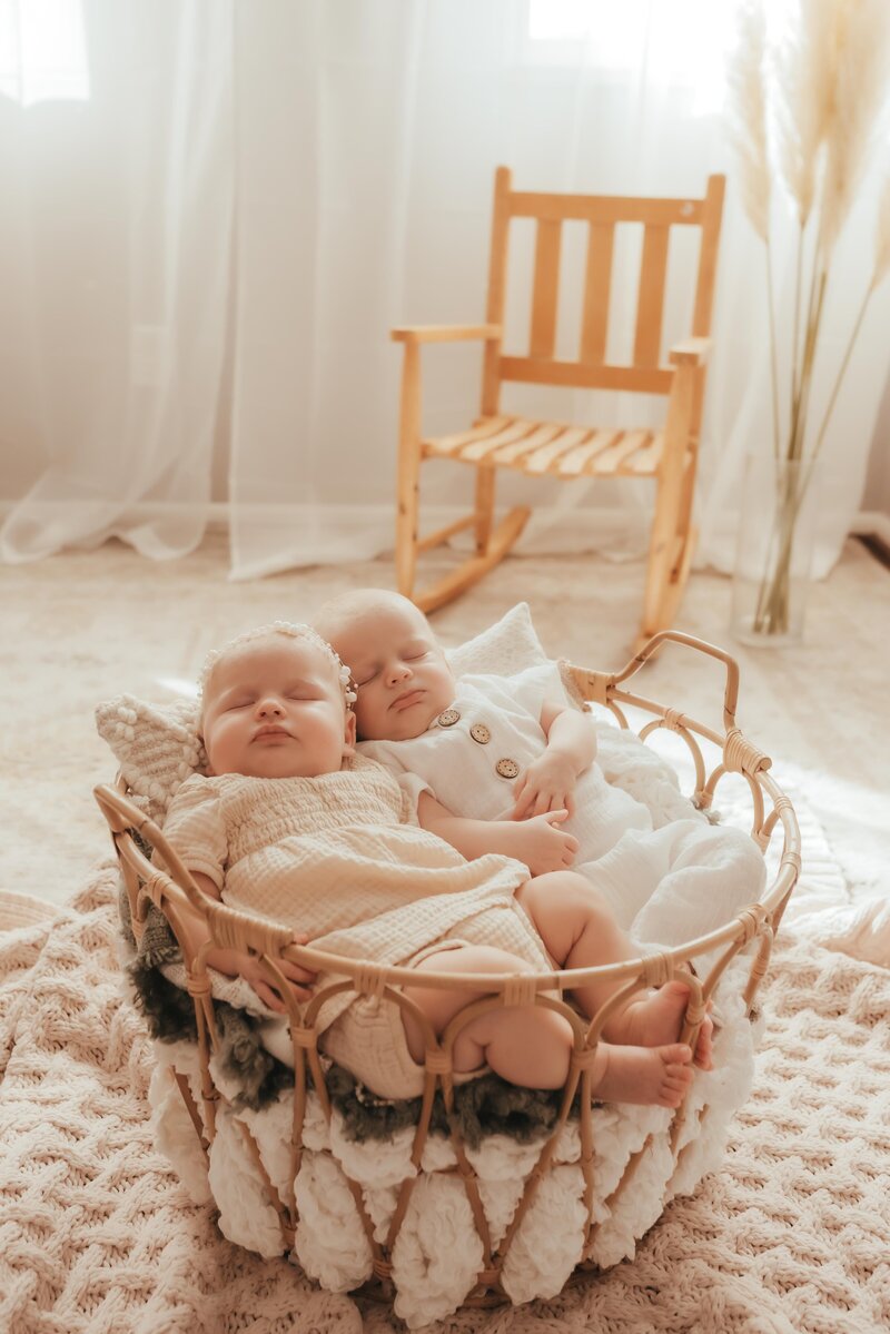 Twin babies in a wooden basket in Hope Louise's studio.