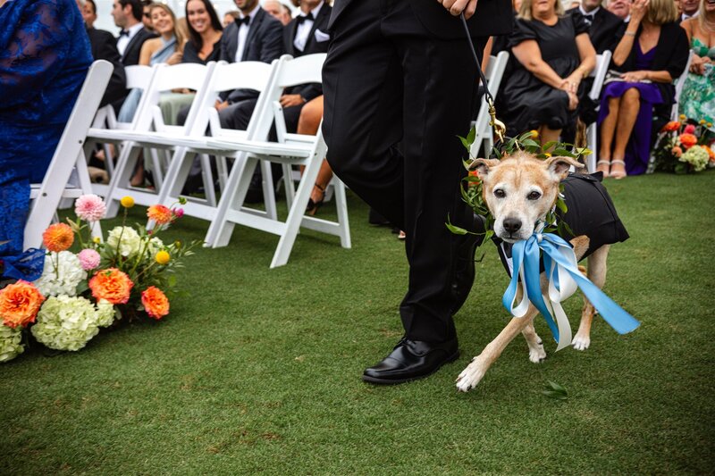 Ashley&Sean-608