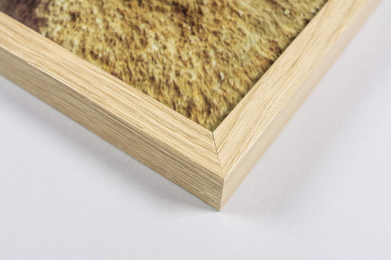 Framed print oak eco-friendly frame professional photo products nPhoto