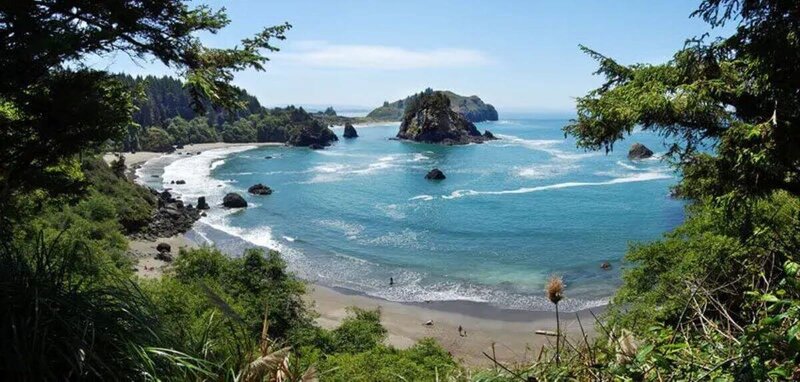 Beautiful College Cove beach scene near yoga teacher training California location