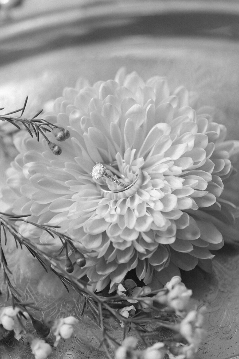 2023Colleen+JoshWedding-11