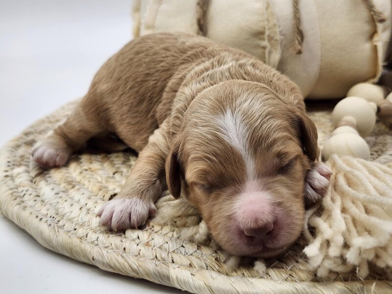 076e2039-3f12-4590-b86f-51c61d7fbb51