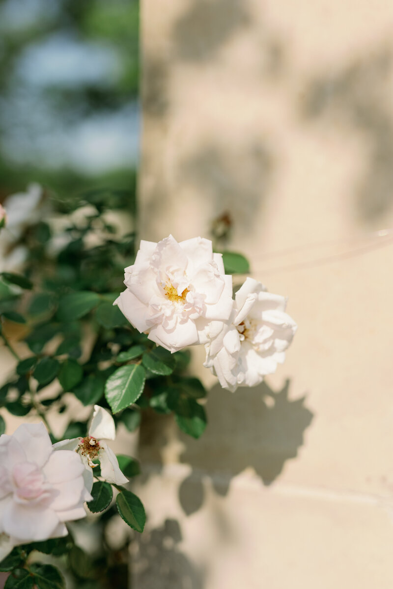 Fort-Worth-Botanic-Gardens-Engagement-Session-Chirstian-Wedding-Photographer-Kortney-Boyett39