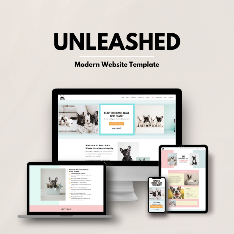 Unleashed Modern Neutral Digital Product Computer Mockup Promotional graphic