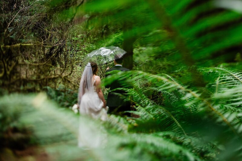 A bride and groom walk with an umbrella through the ferns.