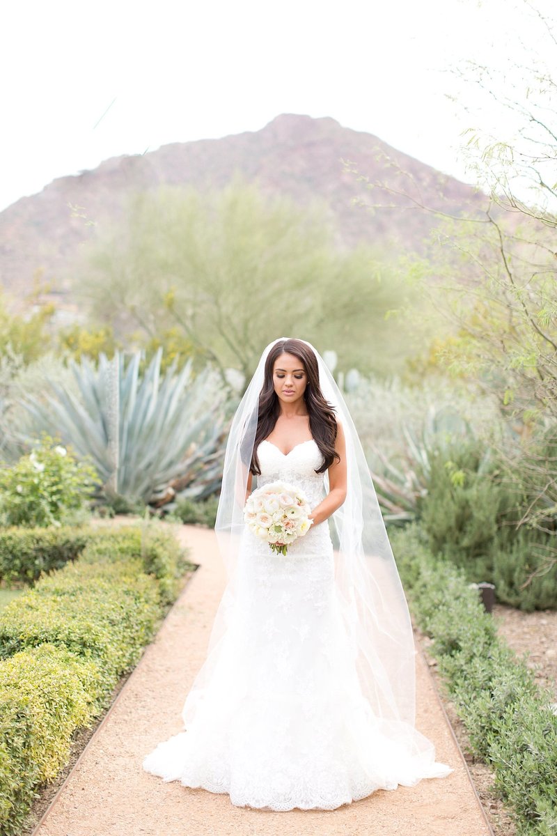 Blush El Chorro Paradise Valley Wedding | Amy & Jordan Photography