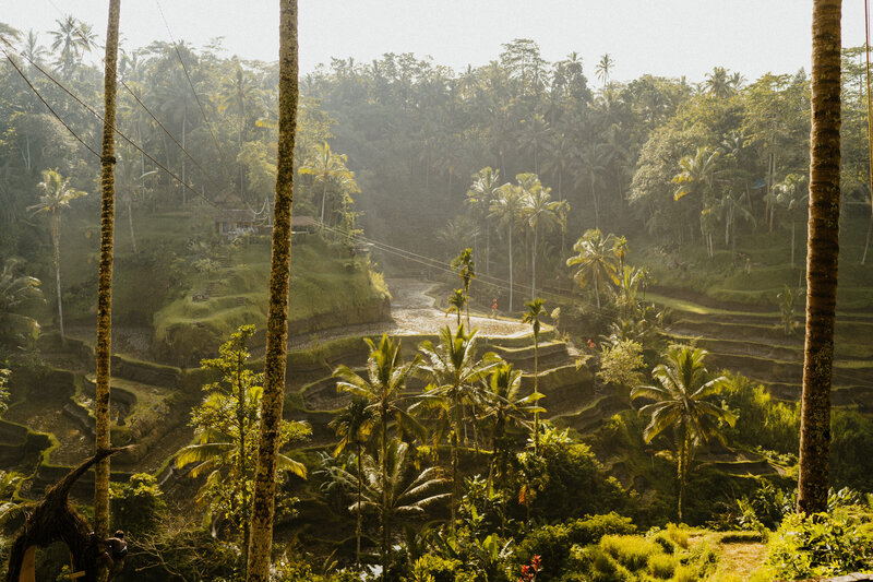 tegalalang rice bali