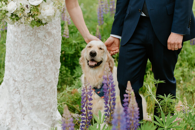 Dog Friendly Elopement