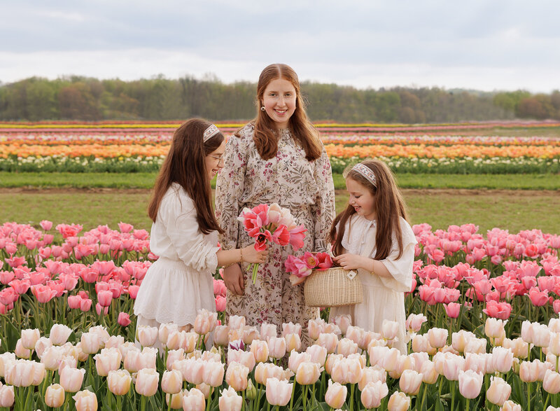 Brooklyn NY outdoor family photoshoot. Three sisters are standing in a field of tulips. the oldest sister is smiling at the camera, the younger ones are picking flowers. Captured by best Brooklyn, NY family photographer Chaya Bornstein.